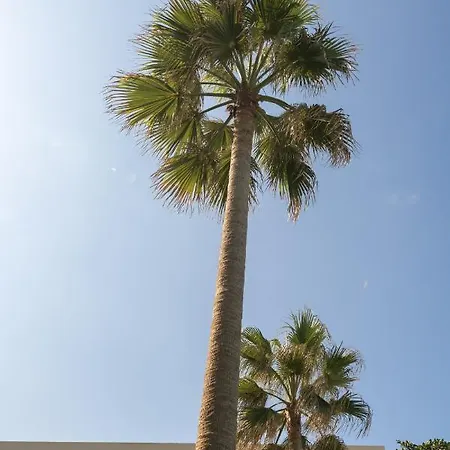 Hotel Haris On The 3*